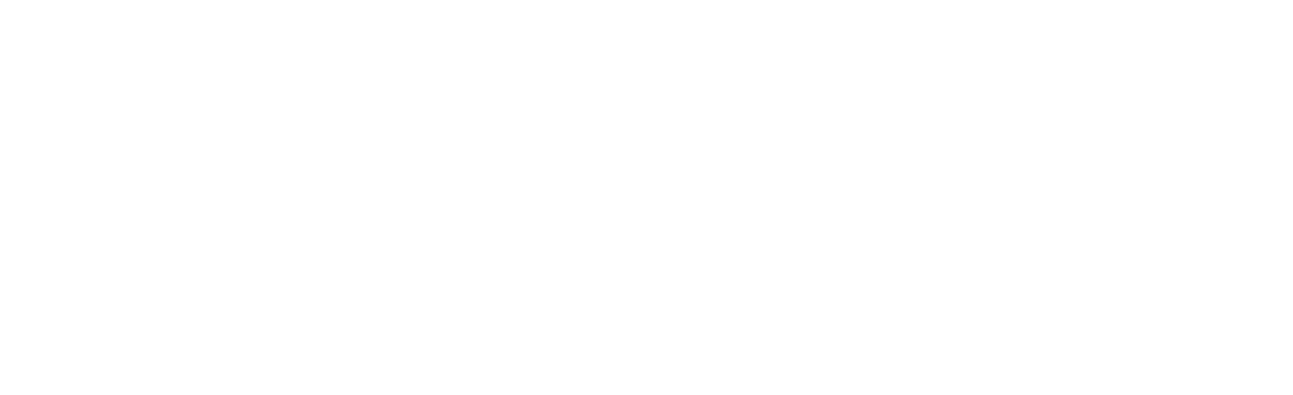JP GLOBAL RISK